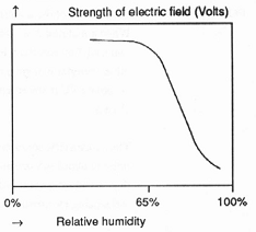 대전방지기능벨트